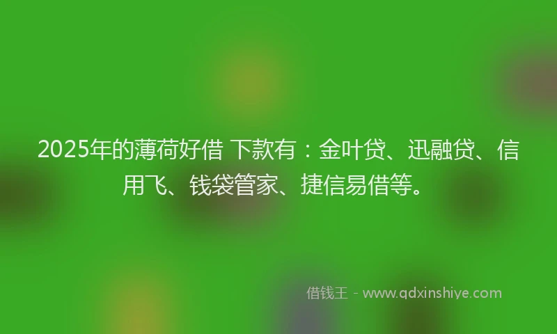 2025年的薄荷好借 下款有：金叶贷、迅融贷、信用飞、钱袋管家、捷信易借等。
