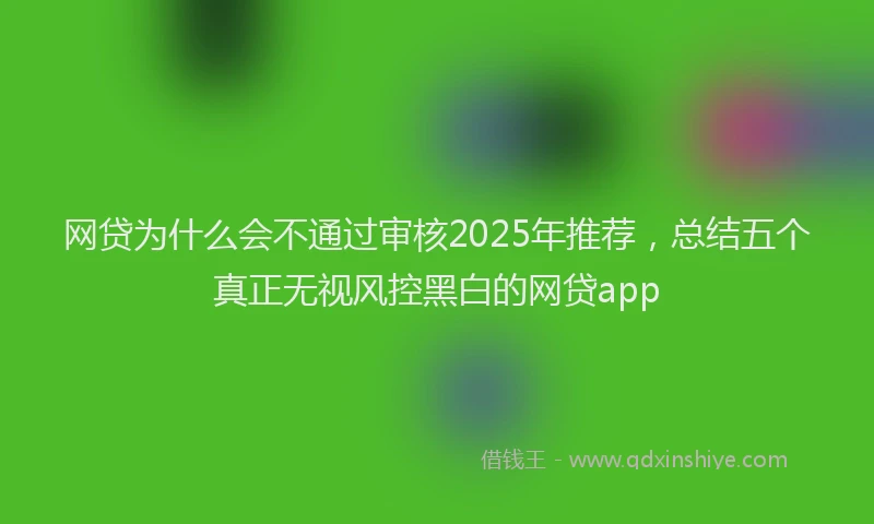 网贷为什么会不通过审核2025年推荐，总结五个真正无视风控黑白的网贷app