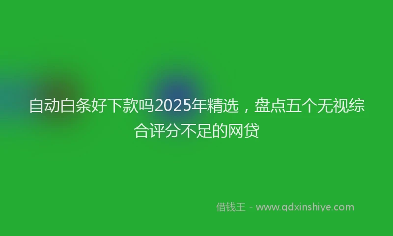 自动白条好下款吗2025年精选，盘点五个无视综合评分不足的网贷