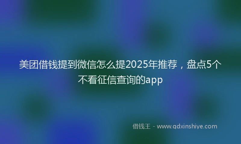 美团借钱提到微信怎么提2025年推荐，盘点5个不看征信查询的app