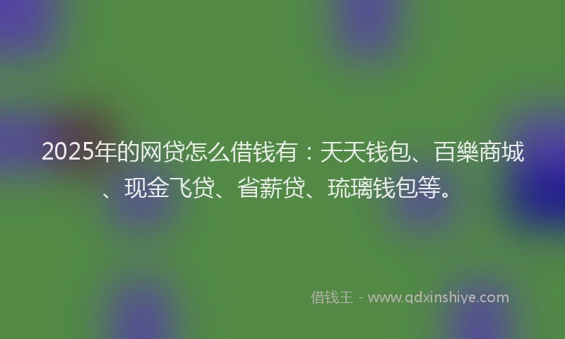 2025年的网贷怎么借钱有：天天钱包、百樂商城、现金飞贷、省薪贷、琉璃钱包等。