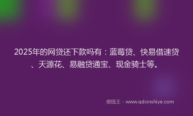 2025年的网贷还下款吗有：蓝莓贷、快易借速贷、天源花、易融贷通宝、现金骑士等。
