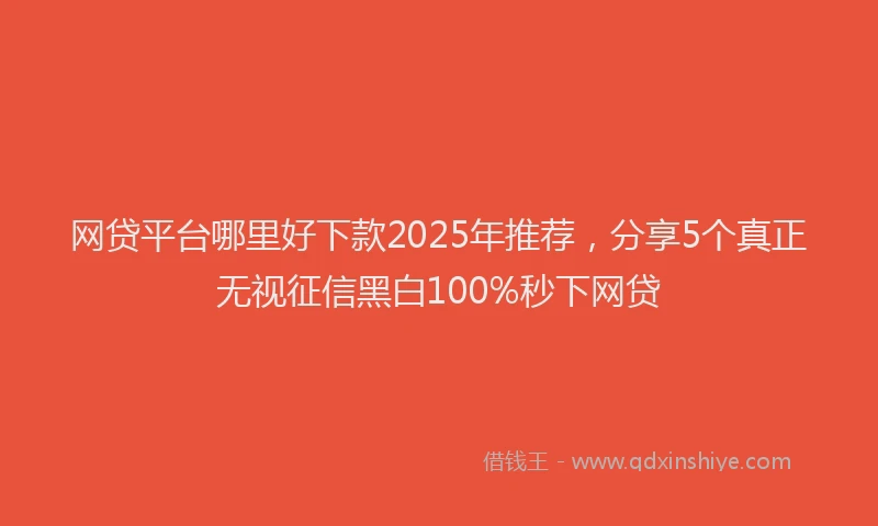 网贷平台哪里好下款2025年推荐，分享5个真正无视征信黑白100%秒下网贷