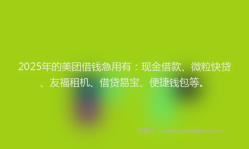 2025年的美团借钱急用有：现金借款、微粒快贷、友福租机、借贷易宝、便捷钱包等。