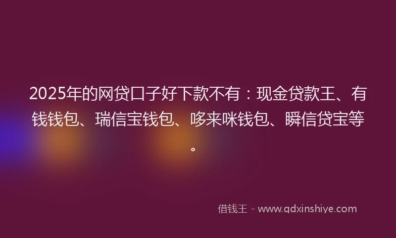 2025年的网贷口子好下款不有：现金贷款王、有钱钱包、瑞信宝钱包、哆来咪钱包、瞬信贷宝等。