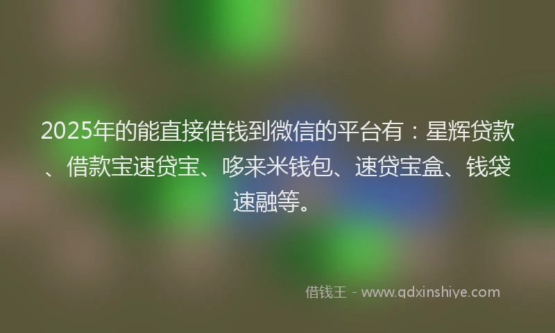 2025年的能直接借钱到微信的平台有：星辉贷款、借款宝速贷宝、哆来米钱包、速贷宝盒、钱袋速融等。