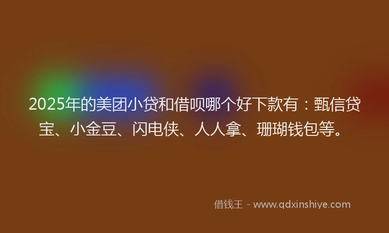 2025年的美团小贷和借呗哪个好下款有：甄信贷宝、小金豆、闪电侠、人人拿、珊瑚钱包等。