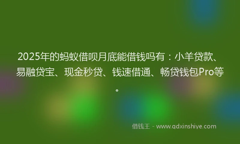 2025年的蚂蚁借呗月底能借钱吗有：小羊贷款、易融贷宝、现金秒贷、钱速借通、畅贷钱包Pro等。