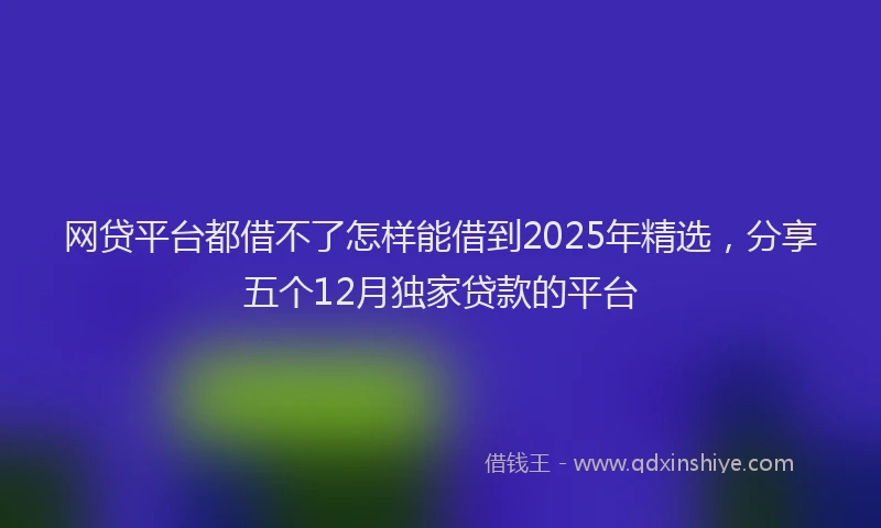 网贷平台都借不了怎样能借到2025年精选，分享五个12月独家贷款的平台