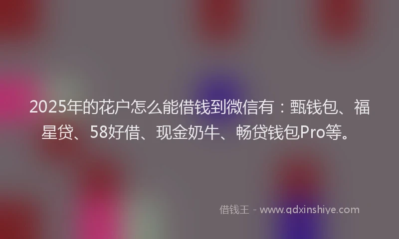 2025年的花户怎么能借钱到微信有：甄钱包、福星贷、58好借、现金奶牛、畅贷钱包Pro等。