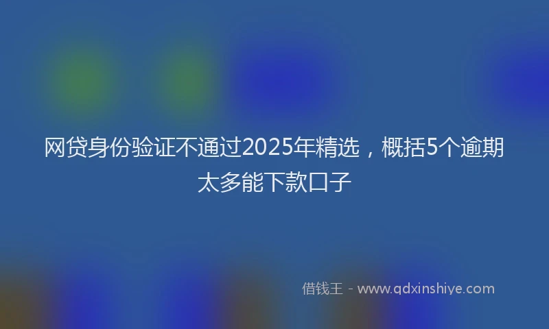 网贷身份验证不通过2025年精选，概括5个逾期太多能下款口子