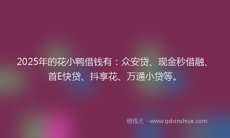 2025年的花小鸭借钱有：众安贷、现金秒借融、首E快贷、抖享花、万通小贷等。