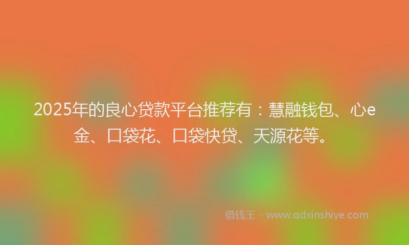 2025年的良心贷款平台推荐有：慧融钱包、心e金、口袋花、口袋快贷、天源花等。