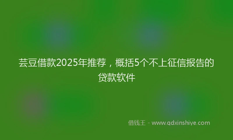 芸豆借款2025年推荐，概括5个不上征信报告的贷款软件