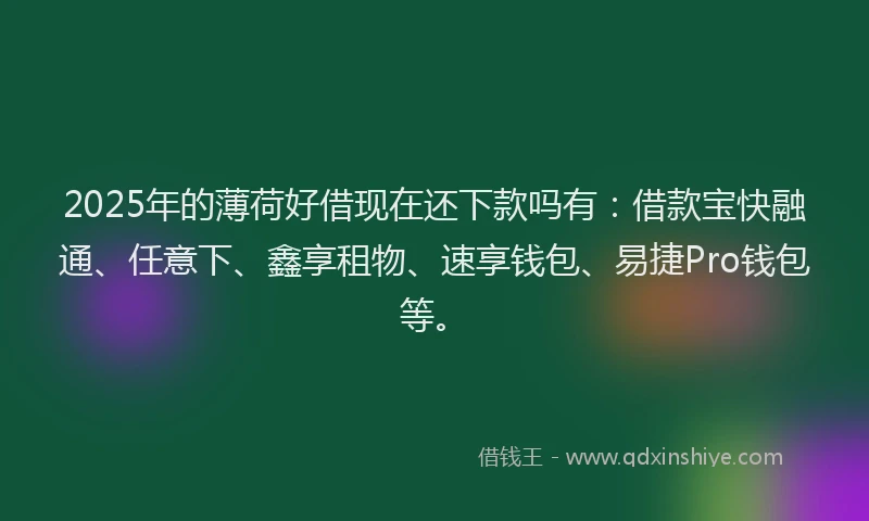 2025年的薄荷好借现在还下款吗有：借款宝快融通、任意下、鑫享租物、速享钱包、易捷Pro钱包等。