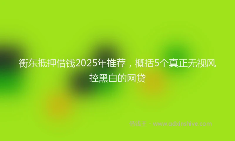衡东抵押借钱2025年推荐，概括5个真正无视风控黑白的网贷