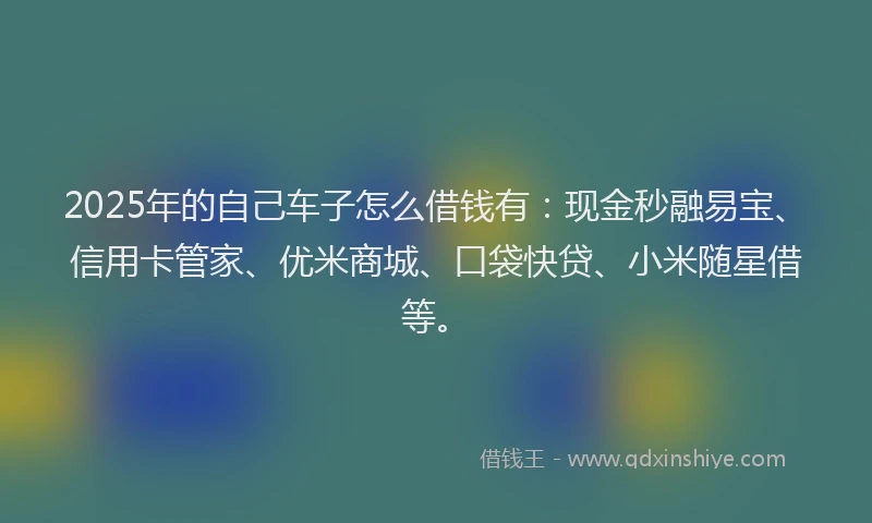 2025年的自己车子怎么借钱有：现金秒融易宝、信用卡管家、优米商城、口袋快贷、小米随星借等。