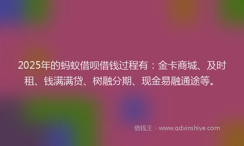 2025年的蚂蚁借呗借钱过程有：金卡商城、及时租、钱满满贷、树融分期、现金易融通途等。
