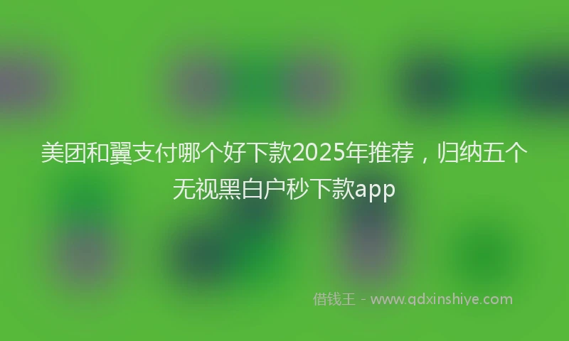 美团和翼支付哪个好下款2025年推荐，归纳五个无视黑白户秒下款app