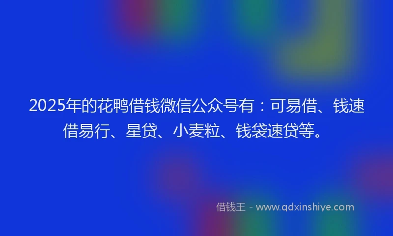 2025年的花鸭借钱微信公众号有：可易借、钱速借易行、星贷、小麦粒、钱袋速贷等。