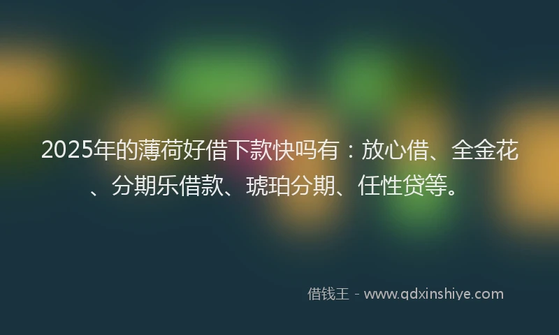 2025年的薄荷好借下款快吗有：放心借、全金花、分期乐借款、琥珀分期、任性贷等。