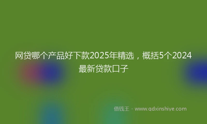 网贷哪个产品好下款2025年精选，概括5个2024最新贷款口子