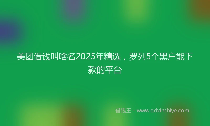 美团借钱叫啥名2025年精选，罗列5个黑户能下款的平台