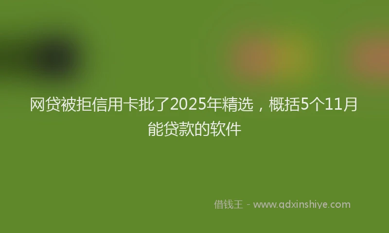 网贷被拒信用卡批了2025年精选，概括5个11月能贷款的软件