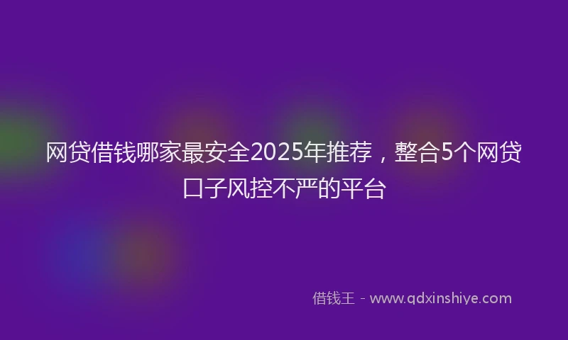网贷借钱哪家最安全2025年推荐，整合5个网贷口子风控不严的平台