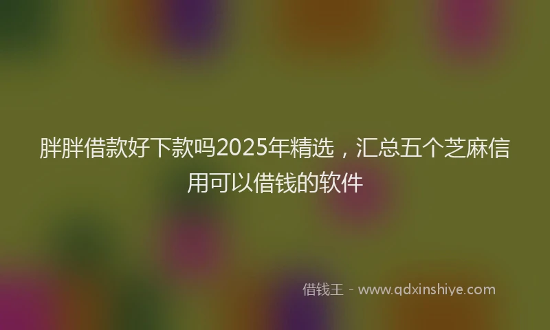胖胖借款好下款吗2025年精选，汇总五个芝麻信用可以借钱的软件
