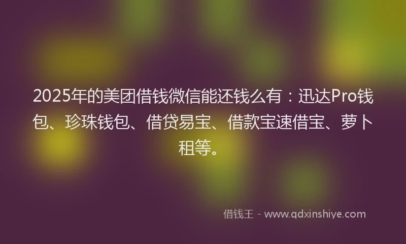 2025年的美团借钱微信能还钱么有：迅达Pro钱包、珍珠钱包、借贷易宝、借款宝速借宝、萝卜租等。