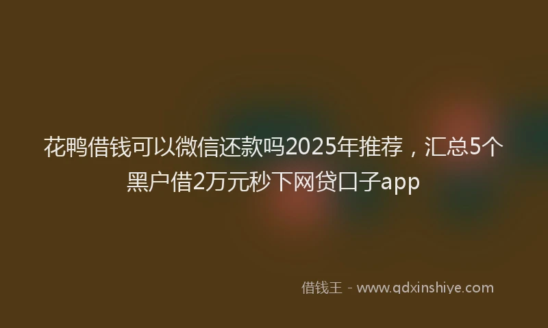 花鸭借钱可以微信还款吗2025年推荐，汇总5个黑户借2万元秒下网贷口子app