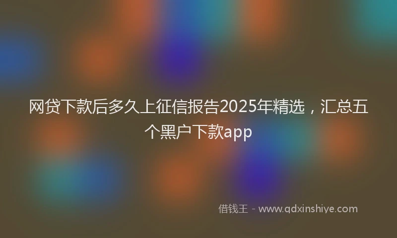 网贷下款后多久上征信报告2025年精选，汇总五个黑户下款app