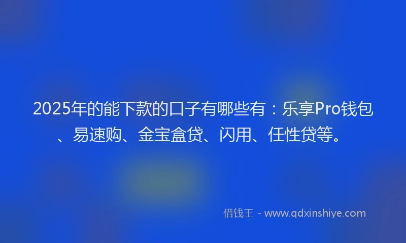 2025年的能下款的口子有哪些有：乐享Pro钱包、易速购、金宝盒贷、闪用、任性贷等。