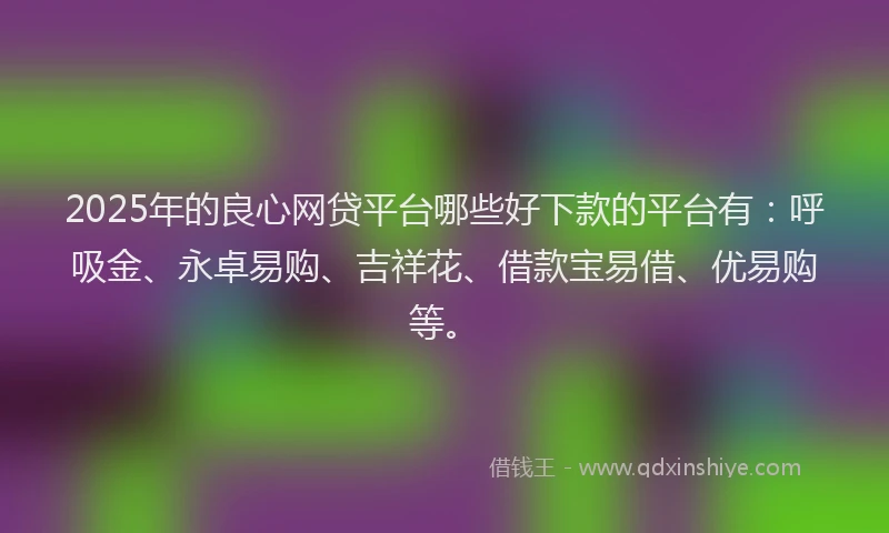 2025年的良心网贷平台哪些好下款的平台有：呼吸金、永卓易购、吉祥花、借款宝易借、优易购等。