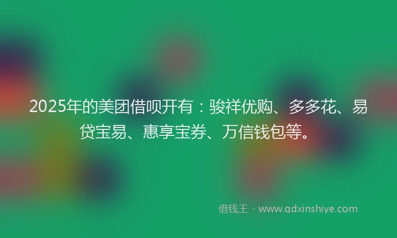 2025年的美团借呗开有：骏祥优购、多多花、易贷宝易、惠享宝券、万信钱包等。