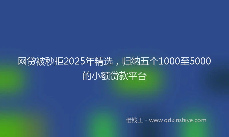 网贷被秒拒2025年精选，归纳五个1000至5000的小额贷款平台