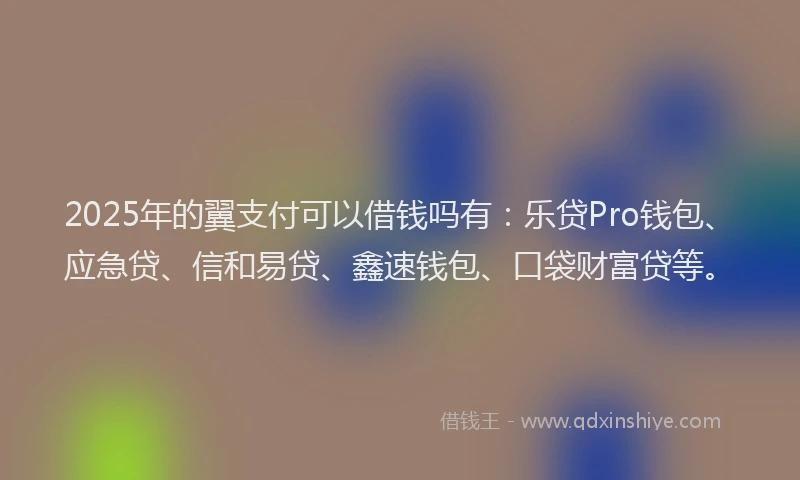 2025年的翼支付可以借钱吗有：乐贷Pro钱包、应急贷、信和易贷、鑫速钱包、口袋财富贷等。
