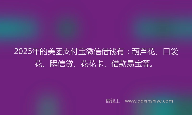 2025年的美团支付宝微信借钱有：葫芦花、口袋花、瞬信贷、花花卡、借款易宝等。