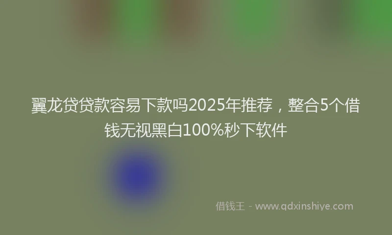 翼龙贷贷款容易下款吗2025年推荐，整合5个借钱无视黑白100%秒下软件