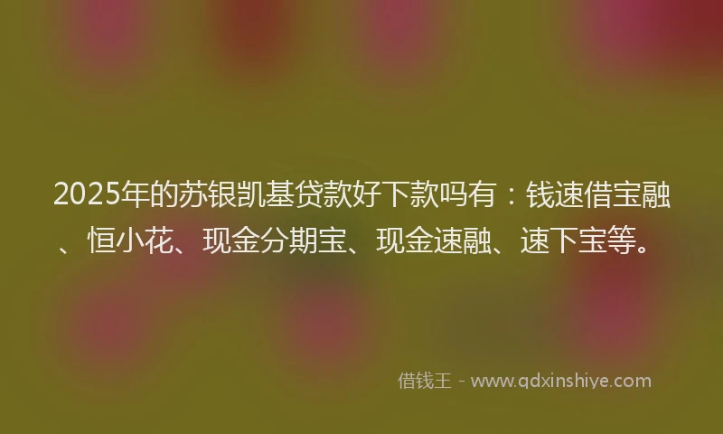 2025年的苏银凯基贷款好下款吗有：钱速借宝融、恒小花、现金分期宝、现金速融、速下宝等。
