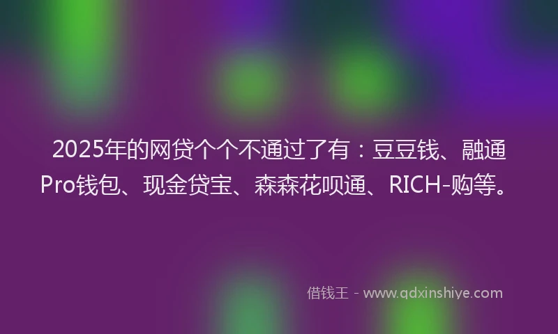 2025年的网贷个个不通过了有：豆豆钱、融通Pro钱包、现金贷宝、森森花呗通、RICH-购等。