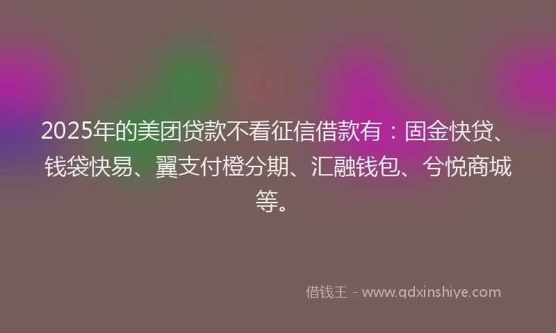 2025年的美团贷款不看征信借款有：固金快贷、钱袋快易、翼支付橙分期、汇融钱包、兮悦商城等。
