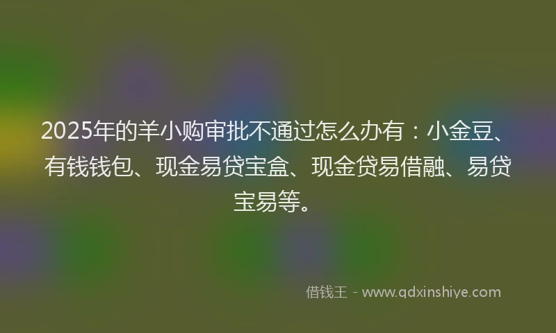 2025年的羊小购审批不通过怎么办有：小金豆、有钱钱包、现金易贷宝盒、现金贷易借融、易贷宝易等。