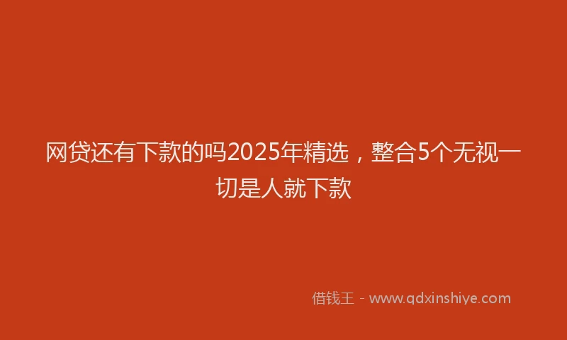 网贷还有下款的吗2025年精选，整合5个无视一切是人就下款