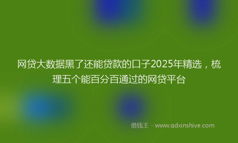 网贷大数据黑了还能贷款的口子2025年精选，梳理五个能百分百通过的网贷平台