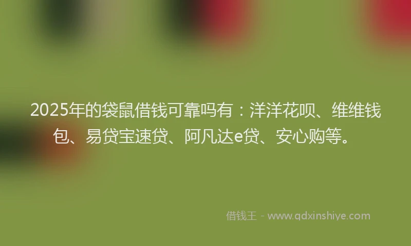 2025年的袋鼠借钱可靠吗有：洋洋花呗、维维钱包、易贷宝速贷、阿凡达e贷、安心购等。