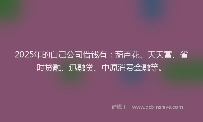 2025年的自己公司借钱有：葫芦花、天天富、省时贷融、迅融贷、中原消费金融等。