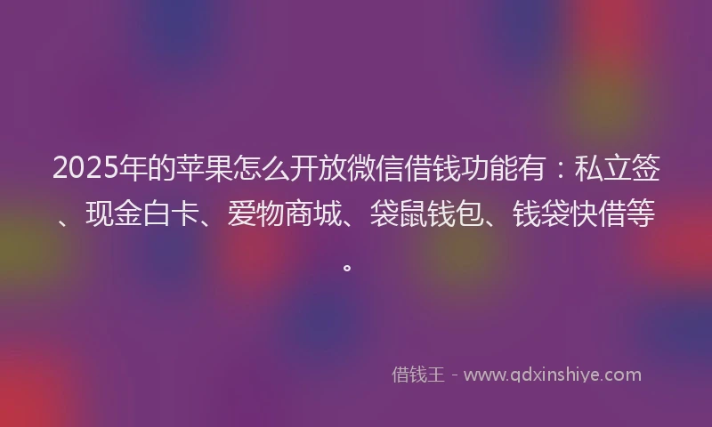 2025年的苹果怎么开放微信借钱功能有：私立签、现金白卡、爱物商城、袋鼠钱包、钱袋快借等。