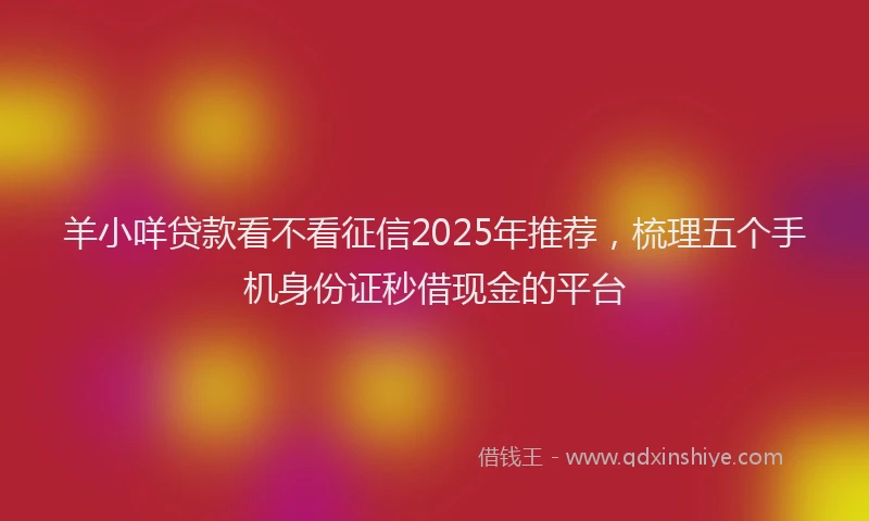 羊小咩贷款看不看征信2025年推荐，梳理五个手机身份证秒借现金的平台